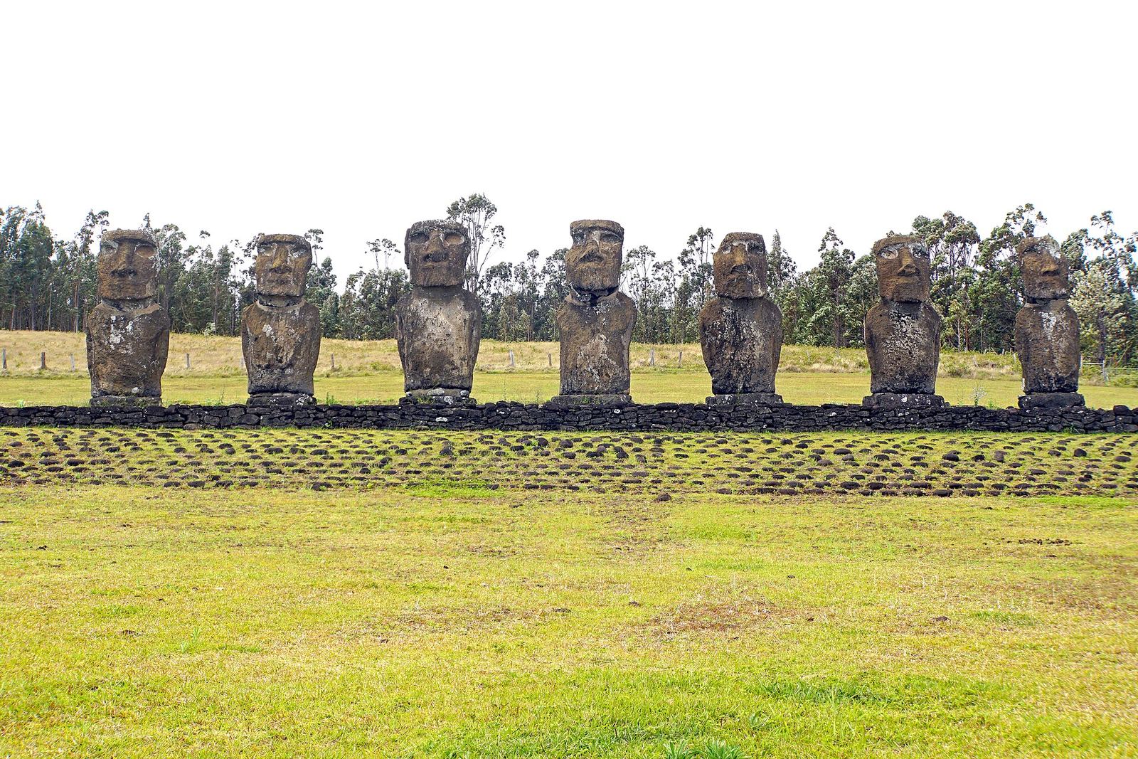 Rapa Nui A Tu Medida